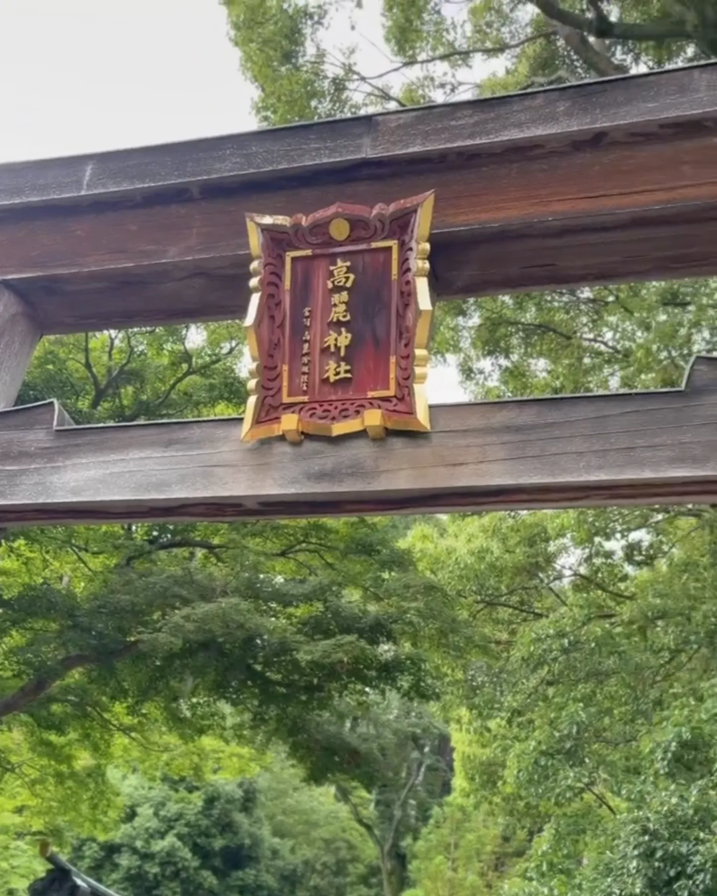 高麗神社の風景